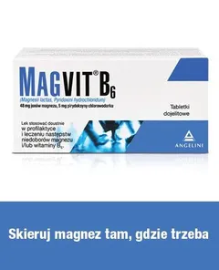 MAGVIT B6 50 tabl.