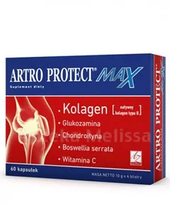 ARTRO PROTECT Max - 60 kaps.